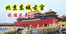 欧美大屌抽插中国北京-东城古宫旅游风景区